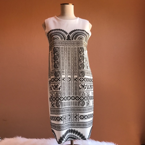 Zara Dresses & Skirts - ZARA NWOT Shift Dress